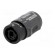 Adapter | PIN: 4 | for cable | 30A | 250V | Series: speakON image 6