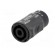 Adapter | PIN: 4 | for cable | 30A | 250V | Series: speakON фото 2
