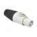Plug | circular | female | PIN: 3 | for cable | 25A | thermoplastic | IP54 image 8