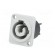 Socket | circular | male | PIN: 3 | 25A | thermoplastic | HP | IP54 | 250VAC image 2