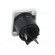 Socket | circular | male | PIN: 3 | 25A | thermoplastic | HP | IP54 | 250VAC image 5