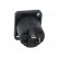 Socket | loudspeaker | male | PIN: 2 | 30A | 133V | thermoplastic | SP | IP54 image 5