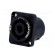 Socket | loudspeaker | male | PIN: 2 | 30A | 250V | 4.8mm connectors image 2