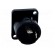Socket | loudspeaker | male | PIN: 2 | 30A | 250V | 4.8mm connectors image 5