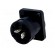 Socket | loudspeaker | male | PIN: 2 | 30A | 250V | 4.8mm connectors image 6