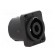 Socket | loudspeaker | male | PIN: 4 | 30A | 133V | thermoplastic | IP54 paveikslėlis 8