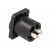 Socket | loudspeaker | male | PIN: 4 | 30A | 250V | 4.8mm connectors image 4