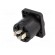Socket | loudspeaker | male | PIN: 4 | 30A | 250V | 4.8mm connectors image 6