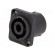Socket | loudspeaker | male | PIN: 4 | 30A | 250V | 4.8mm connectors image 1