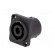 Socket | loudspeaker | male | PIN: 4 | 30A | 250V | 4.8mm connectors image 2