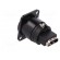 Coupler | HDMI socket,both sides | FT | shielded | 19x24mm | Mat: metal фото 4