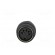 Adapter | DIN 5pin socket,Jack 3.5mm plug | stereo,180° | PIN: 5 paveikslėlis 9