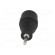 Adapter | DIN 5pin socket,Jack 3.5mm plug | stereo,180° | PIN: 5 paveikslėlis 5