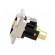 Coupler | RCA socket,both sides | Case: XLR standard | 19x24mm image 3