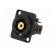 Coupler | RCA socket,both sides | Case: XLR standard | 19x24mm image 2