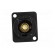 Coupler | RCA socket,both sides | XLR standard | 19x24mm | FT image 9