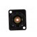 Coupler | RCA socket,both sides | Case: XLR standard | 19x24mm paveikslėlis 9