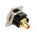 Coupler | RCA socket,both sides | Case: XLR standard | 19x24mm фото 4