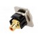 Coupler | RCA socket,both sides | Case: XLR standard | 19x24mm paveikslėlis 6