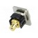 Coupler | RCA socket,both sides | XLR standard | 19x24mm | FT image 6