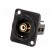 Coupler | RCA socket,both sides | Case: XLR standard | 19x24mm фото 1