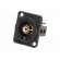 Coupler | RCA socket,both sides | Case: XLR standard | 19x24mm paveikslėlis 2