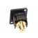 Coupler | RCA socket,both sides | Case: XLR standard | 19x24mm фото 5