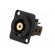 Coupler | RCA socket,both sides | XLR standard | 19x24mm | FT image 2