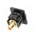 Coupler | RCA socket,both sides | XLR standard | 19x24mm | FT image 6