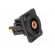 Coupler | RCA socket,both sides | XLR standard | 19x24mm | FT image 8