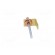 Terminal: flat | 6.3mm | 0.8mm | male | with copper rivet | riveted image 5
