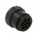 CPC PLUG ASSEMBLY SIZE 23-7 image 4