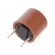 Fuse: fuse | time-lag | 4A | 250VAC | TR5 | Pitch: 5.08mm | 887.100 image 1