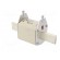 Fuse: fuse | gG | 100A | 500VAC | ceramic,industrial | NH3C | WT-NH image 4