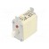 Fuse: fuse | gG | 125A | 690VAC | 250VDC | ceramic,industrial | NH00 image 1