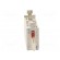 Fuse: fuse | gG | 25A | 500VAC | ceramic,industrial | NH000 | WT-NH image 5