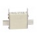 Fuse: fuse | gG | 40A | 500VAC | 250VDC | ceramic,industrial | NH000 image 3