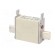 Fuse: fuse | gG | 40A | 500VAC | 250VDC | ceramic,industrial | NH000 фото 8