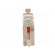 Fuse: fuse | gG | 50A | 500VAC | 220VDC | ceramic,industrial | NH000 image 5