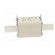 Fuse: fuse | gG | 50A | 500VAC | ceramic,industrial | NH1 | WT-NH image 3