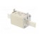 Fuse: fuse | gG | 50A | 500VAC | ceramic,industrial | NH1 | WT-NH image 4