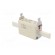 Fuse: fuse | gG | 63A | 500VAC | ceramic,industrial | NH1C | WT-NH image 4