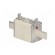Fuse: fuse | gG,gL | 224A | 500VAC | 250VDC | ceramic,industrial | NH1 image 8