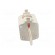 Fuse: fuse | gTr | 231A | 400VAC | ceramic,industrial | NH2 | WT-NH фото 5