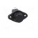 Fuse holder | 10x38mm | 30A | on panel | black | 600VAC | UL94V-0 | 571 image 10