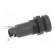 Fuse holder | cylindrical fuses | 10A | 250V | on panel | black image 7