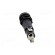 Fuse holder | cylindrical fuses | 10A | on panel | black | 250VAC | FEU image 5