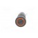 Fuse holder | cylindrical fuses | 5x20mm | 10A | on panel | black | FEF image 9
