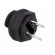 Fuse holder | miniature fuses | TE5,TR5 | 6.3A | 250V | -40÷85°C image 4