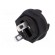 Fuse holder | miniature fuses | TE5,TR5 | 6.3A | 250V | -40÷85°C image 6